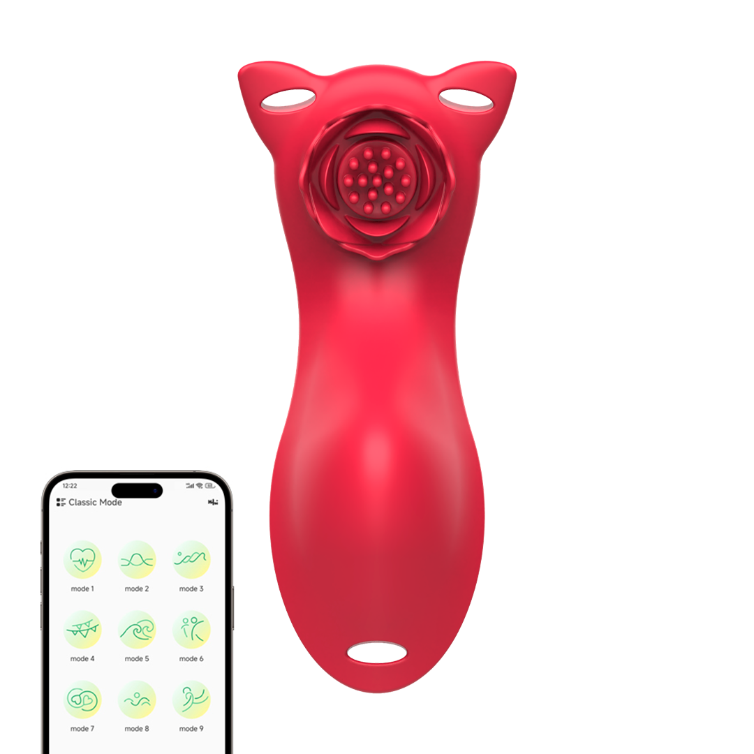 Saila APP